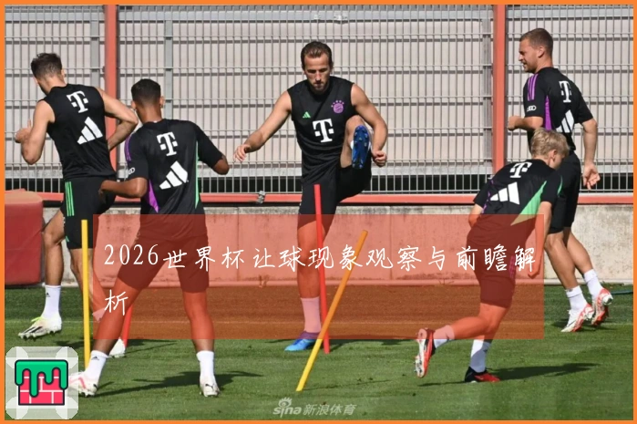 2026世界杯让球现象观察与前瞻解析