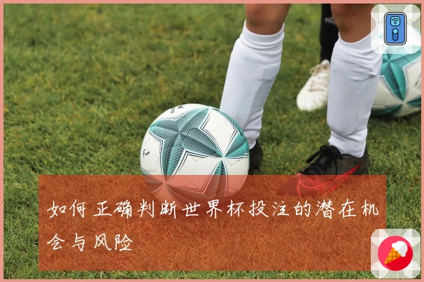 如何正确判断世界杯投注的潜在机会与风险