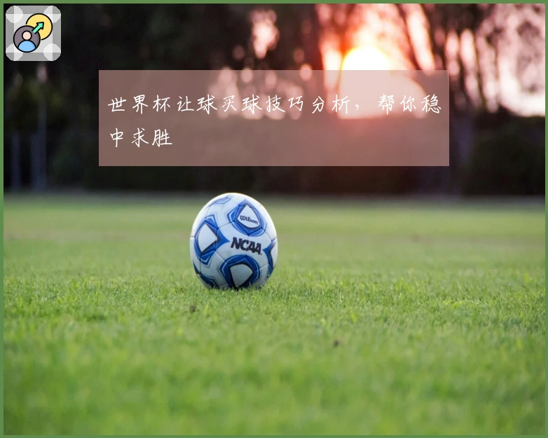 世界杯让球买球技巧分析，帮你稳中求胜