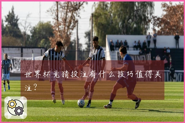世界杯竞猜投注有什么技巧值得关注？