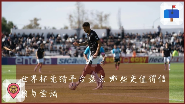 世界杯竞猜平台盘点 哪些更值得信赖与尝试