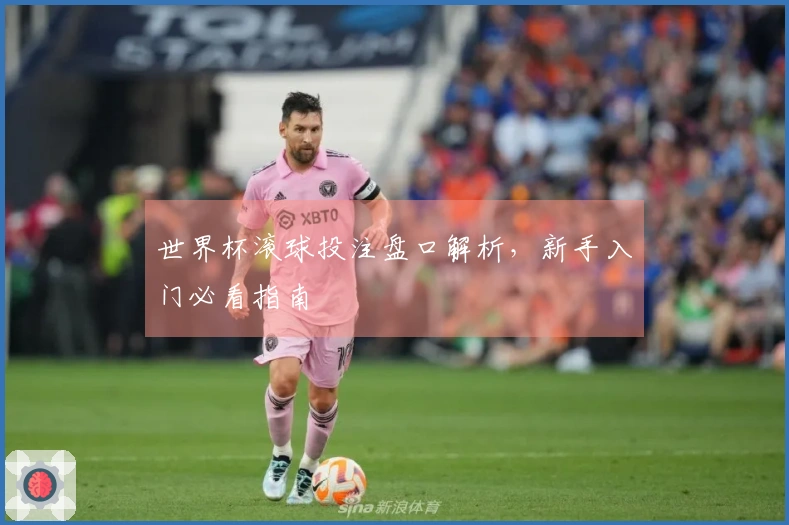 世界杯滚球投注盘口解析，新手入门必看指南