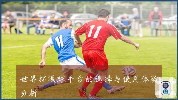 世界杯滚球平台的选择与使用体验分析