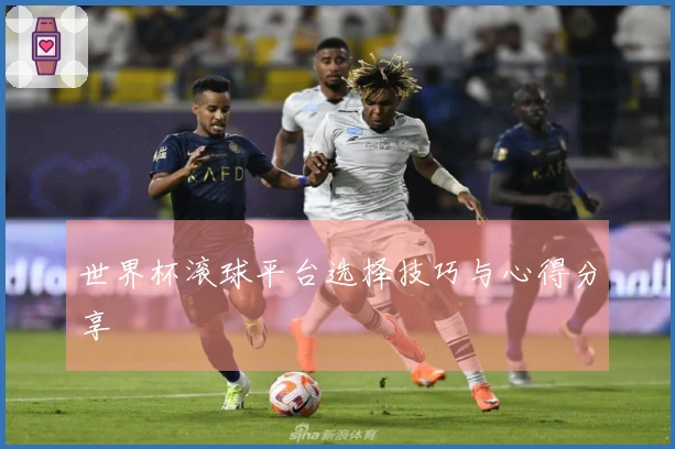 世界杯滚球平台选择技巧与心得分享