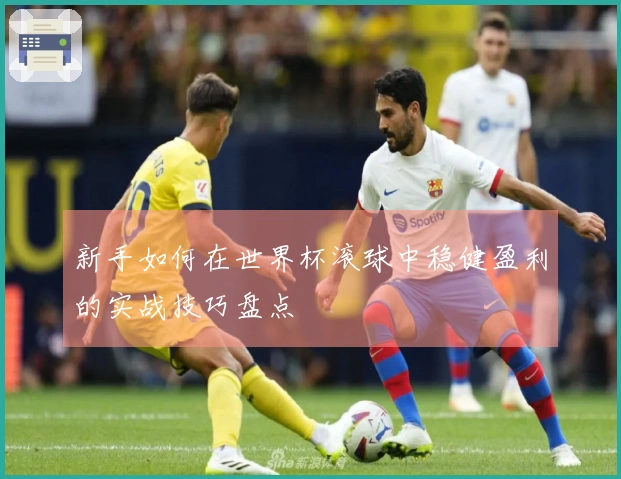 新手如何在世界杯滚球中稳健盈利的实战技巧盘点