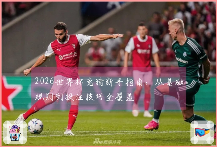 2026世界杯竞猜新手指南，从基础规则到投注技巧全覆盖