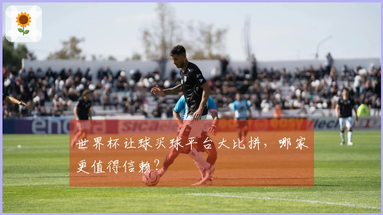世界杯让球买球平台大比拼，哪家更值得信赖？