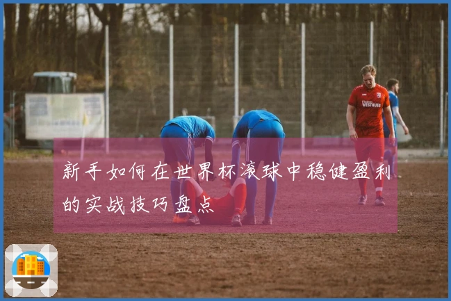 新手如何在世界杯滚球中稳健盈利的实战技巧盘点