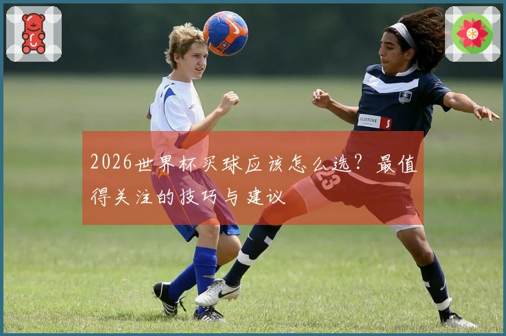 2026世界杯买球应该怎么选？最值得关注的技巧与建议