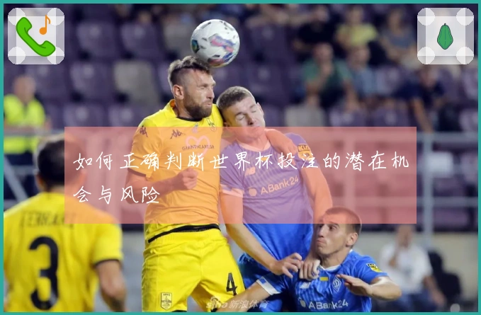 如何正确判断世界杯投注的潜在机会与风险