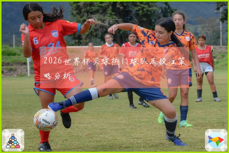 2026世界杯买球热门球队及投注策略分析