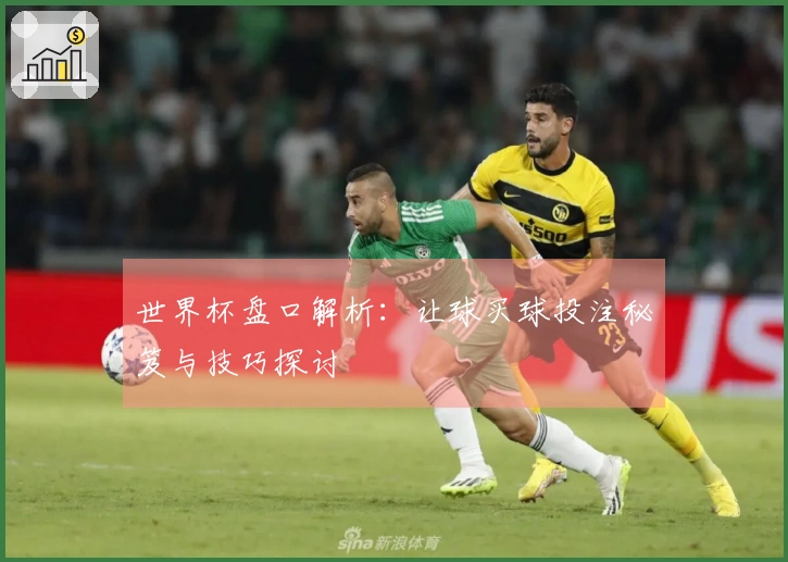 世界杯盘口解析：让球买球投注秘笈与技巧探讨