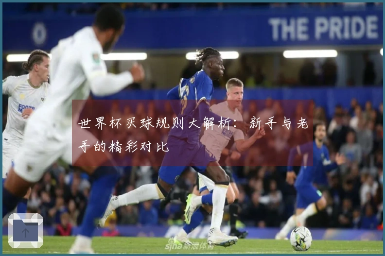 世界杯买球规则大解析：新手与老手的精彩对比