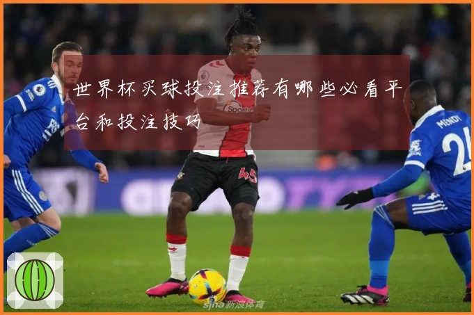 世界杯买球投注推荐有哪些必看平台和投注技巧