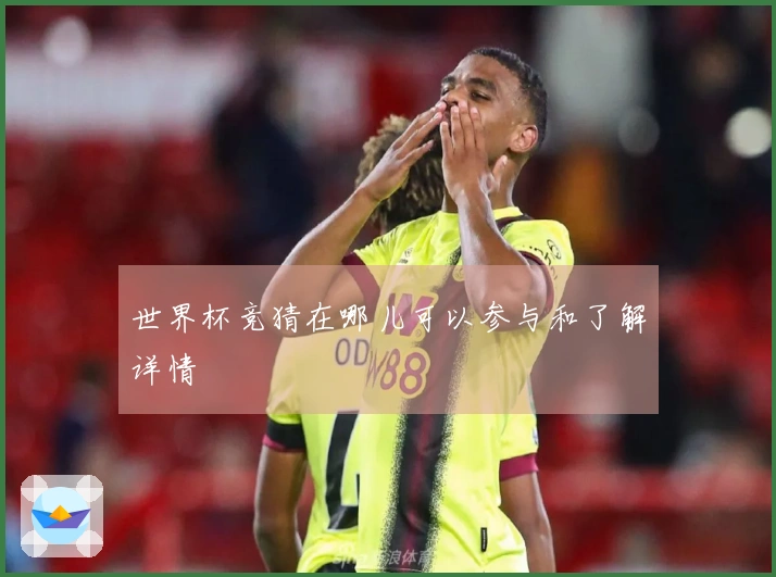 世界杯竞猜在哪儿可以参与和了解详情