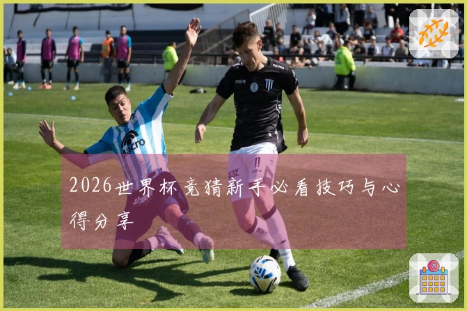 2026世界杯竞猜新手必看技巧与心得分享