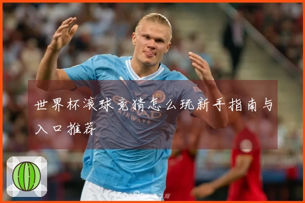 世界杯滚球竞猜怎么玩新手指南与入口推荐
