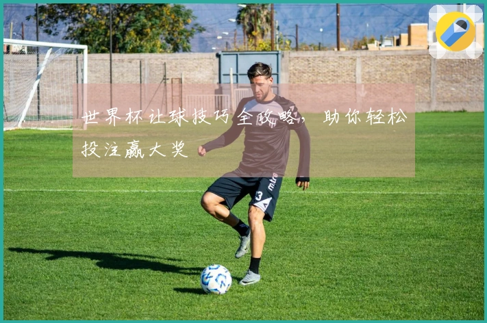 世界杯让球技巧全攻略,助你轻松投注赢大奖