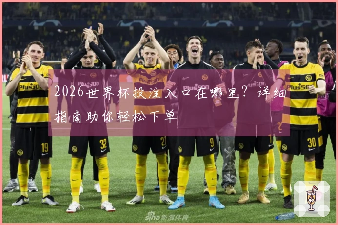 2026世界杯投注入口在哪里？详细指南助你轻松下单